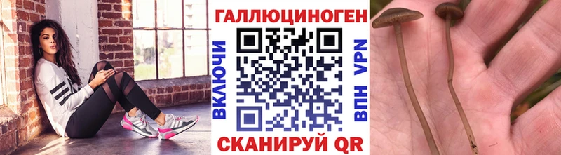 hydra tor  Кумертау  Псилоцибиновые грибы Cubensis  купить  сайты 